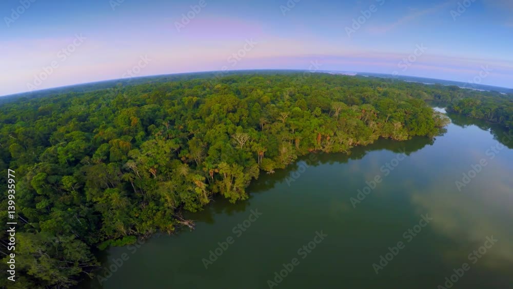 Aerial Shot of Amazon Rainforest Aerial Shot of Amazon Rainforest