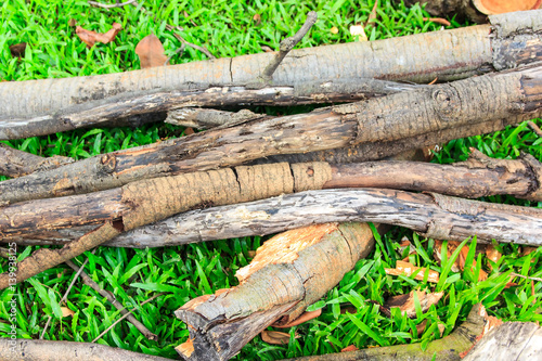 Wallpaper Mural A piece of wood Torontodigital.ca