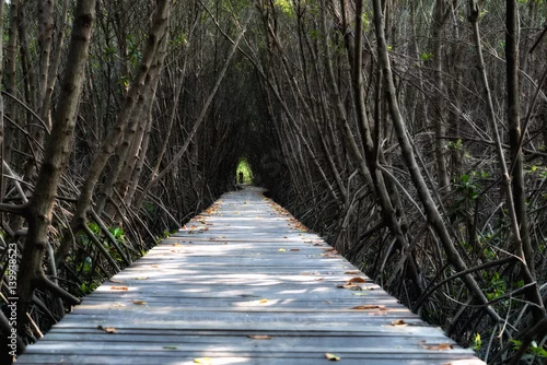 Obraz Drzewny tunel, Drewniany most W Namorzynowym lesie przy Laem Phak Bia, Phetchaburi, Tajlandia