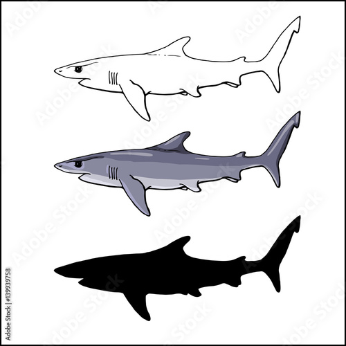 blue shark in 3 versions