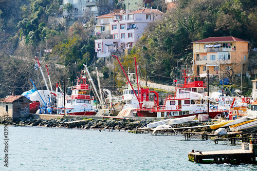 The fishing village of Rumeli Kavagi on the Bosphorus Strait,Istanbul,Turkey. photo