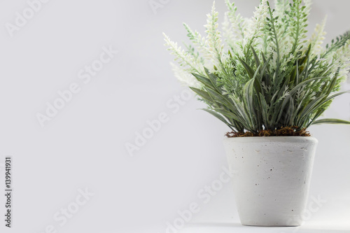 Fototapeta Naklejka Na Ścianę i Meble -  fake flower with vase on white background