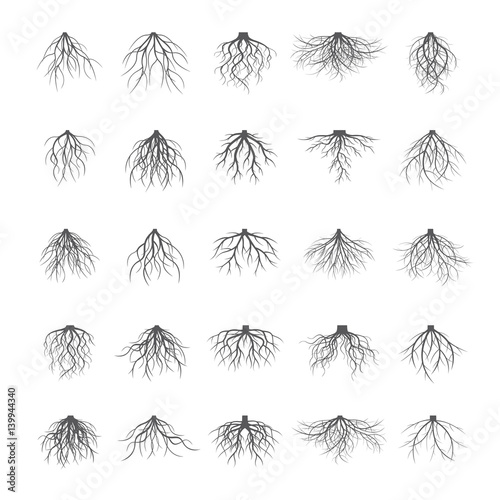 Big Set of Grey Roots. Vector Illustration.