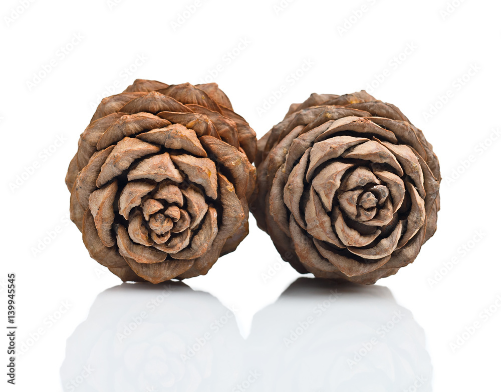 fir cones fir cones