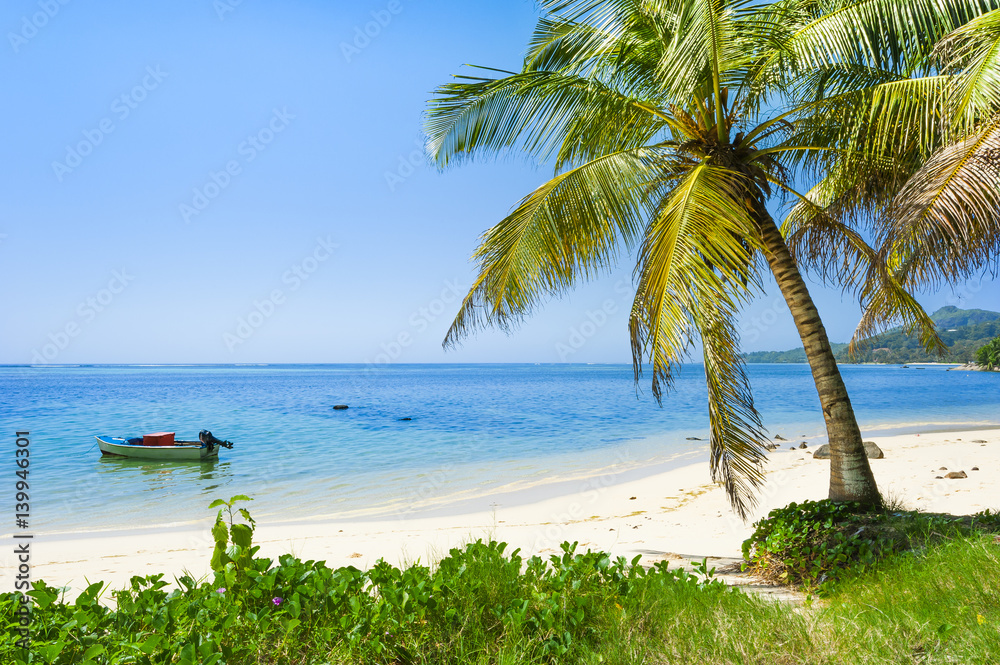 Naklejka premium Beach of the Seychelles, Island Mahé, Beach Anse aux Pins