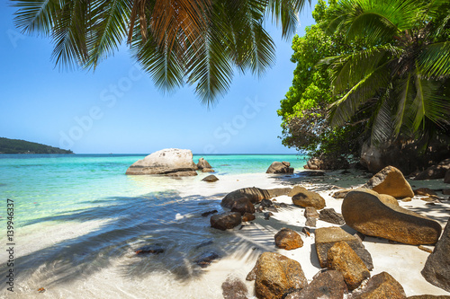 Valokuvatapetti Beach of the Seychelles, Island Mahé, Beach Anse a la Mouche