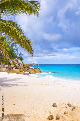 Fototapeta Naklejka Na Ścianę i Meble -  Beach of the Seychelles, Island Praslin, Beach Anse Georgette
