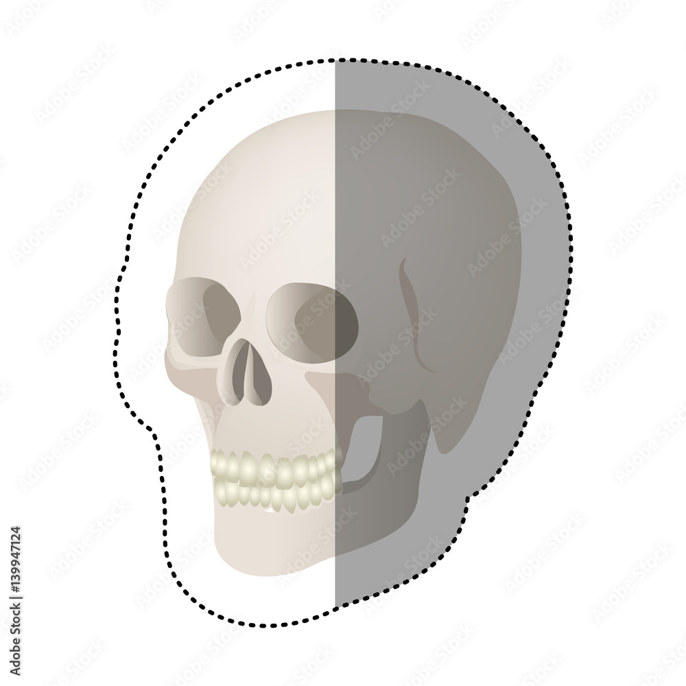 Obraz premium white skeleton of the human skull icon, vector ilustraction design