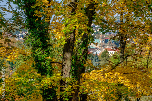 Obraz na płótnie Autumn leaves w salonie