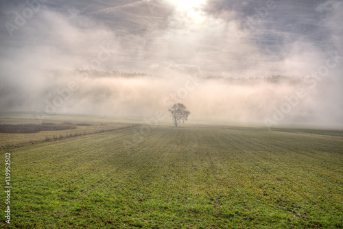 Landschaft im Nebel