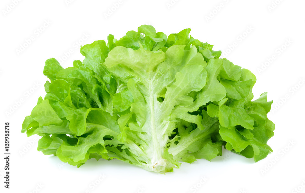 Salad leaf. Lettuce isolated on white background Salad leaf. Lettuce isolated on white background