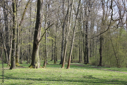 Fr  hling im Landschaftspark  D  rrer Hof   Eisenach