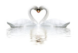 images of two swans on lake