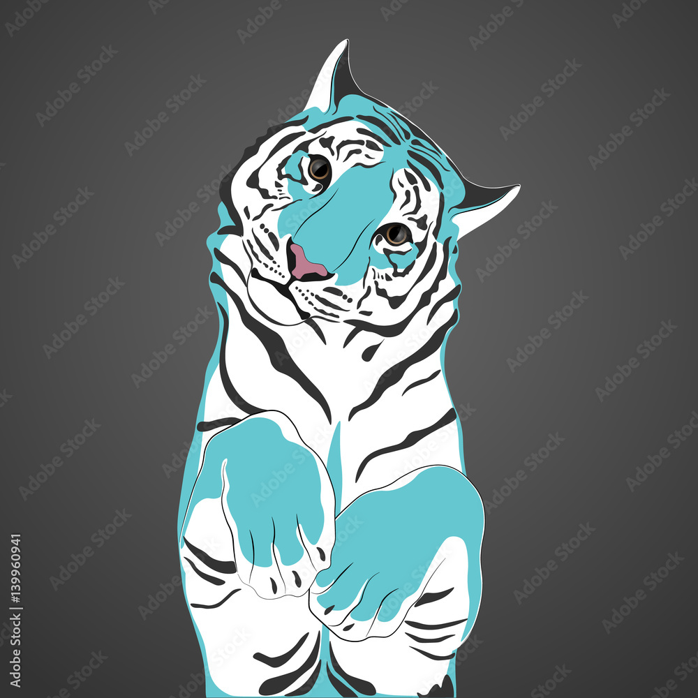 Fototapeta premium Tiger. Great blue kitten.