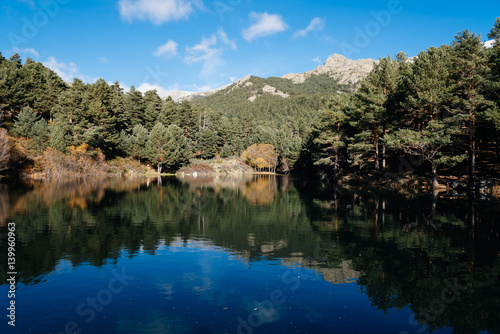 Reflection Of Trees In Calm Lake