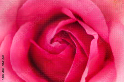 The close up rose with blocks effect