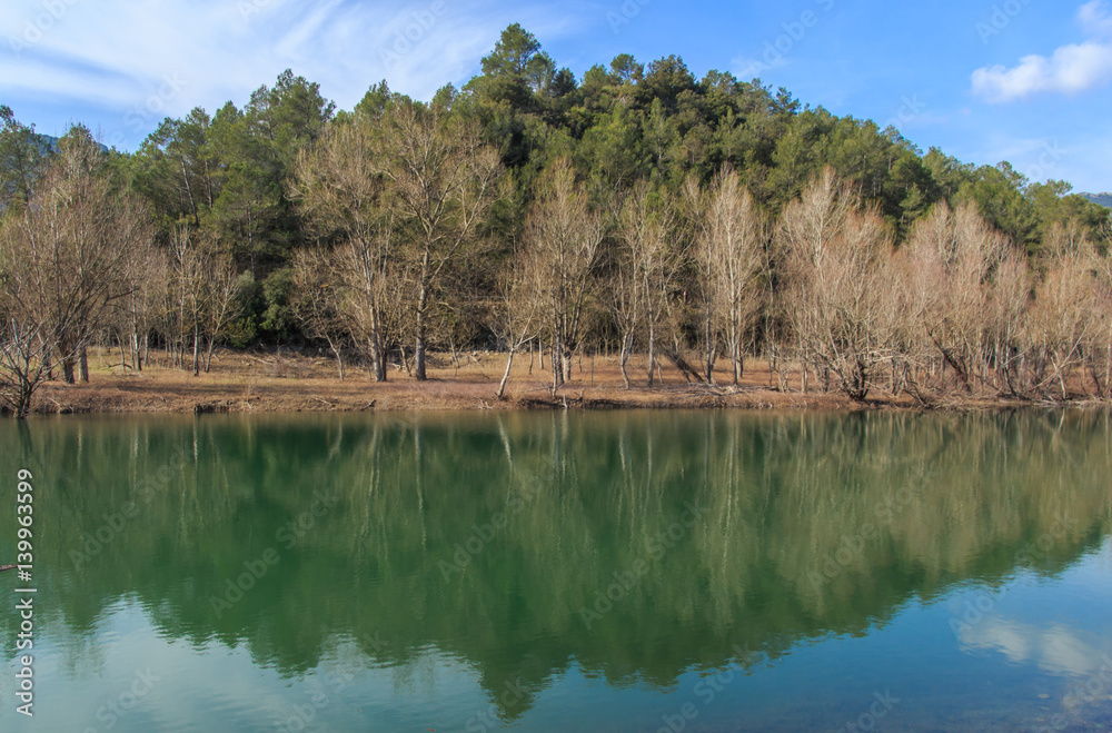 Reflejos en el lago