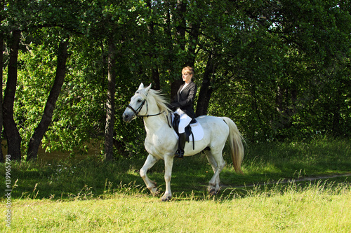 Beautiful girl galloping horse in summer park  © horsemen