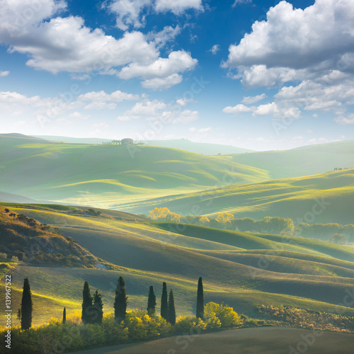 Fresh Green tuscany landscape