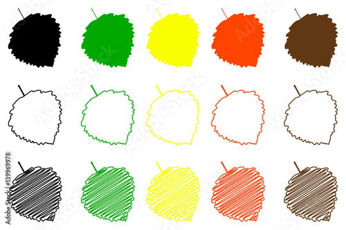 poplar aspen leaf - color set, poplar aspen leaf