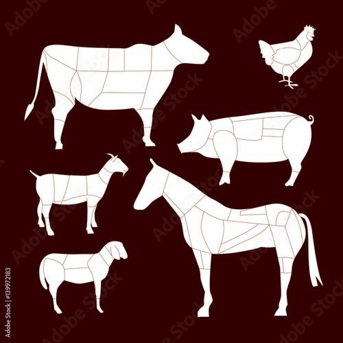 TAGLI DI CARNE