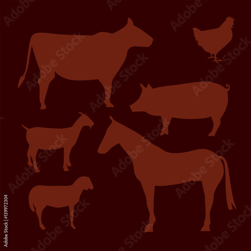 TAGLI DI CARNE