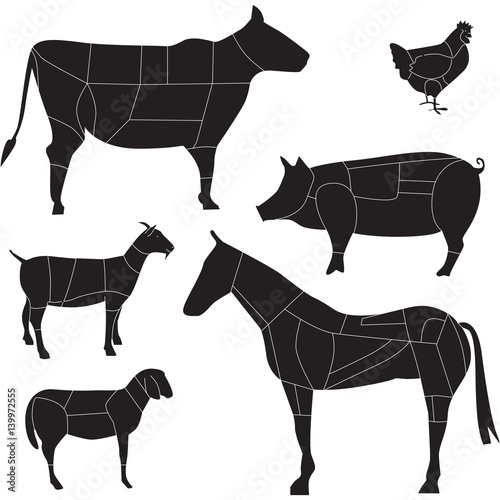 TAGLI DI CARNE