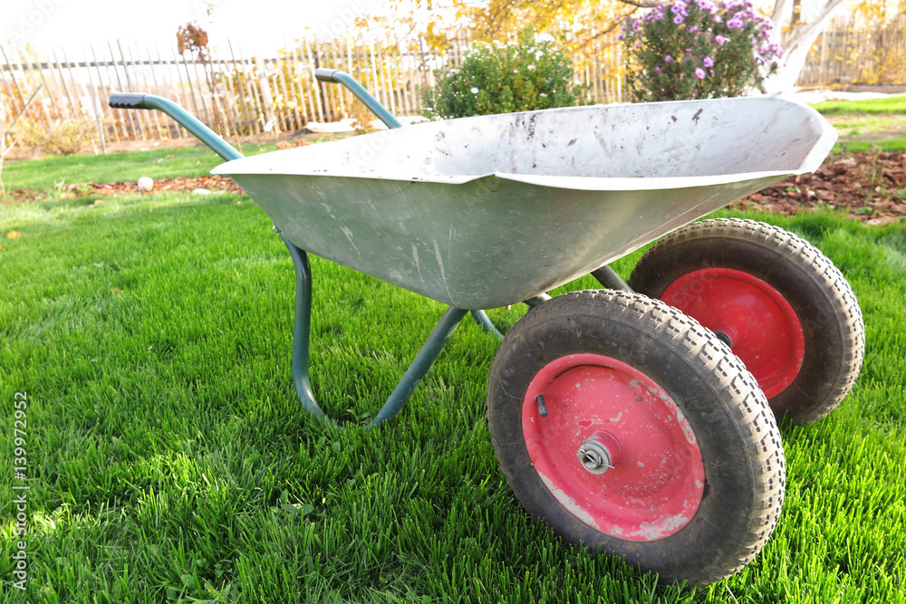 Obraz premium Modern two-wheeled wheelbarrow on the fresh lawn in the autumn garden