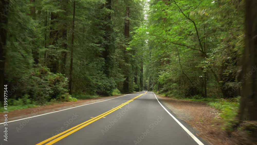 Humboldt Redwoods State Park driving, California Humboldt Redwoods State Park driving, California