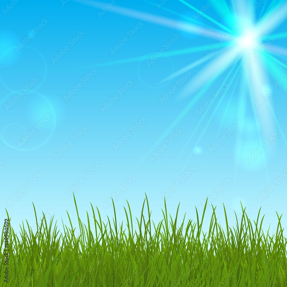 Vector card with spring grass and blue sky