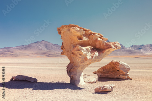 Stone tree that was declared a natural monument, located in the desert of Siloli, southwest of Bolivia photo