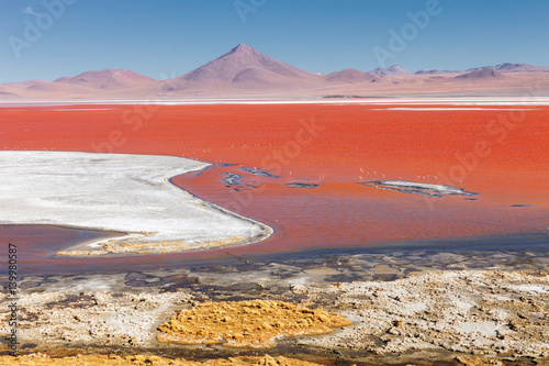 Red Lagoon (Red Lake) there are many colors, red, yellow, blue, white, Eduardo Avaroa andean fauna National Reserve, Bolivia photo