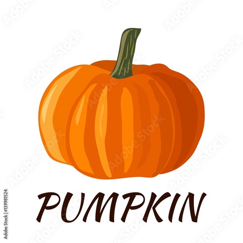 Pumpkin. Flat design. Vector illustration. Ripe vegetable for Your ideas.
