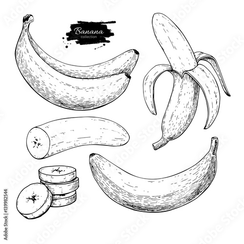 Banana set vector drawing. Isolated hand drawn bunch, peel banana and sliced pieces. Summer fruit engraved style