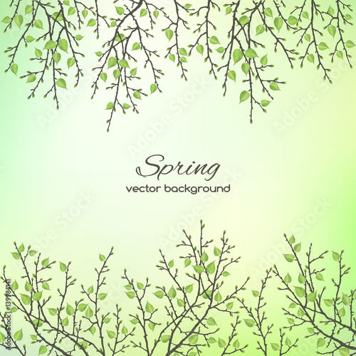 Realistic vector silhouette spring tree