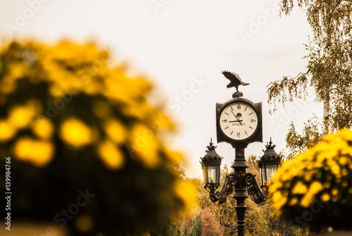 watch in the Park