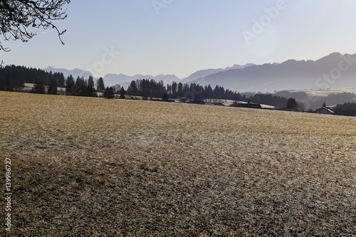 Wiese mit Reif im Allgäu bei Kempten