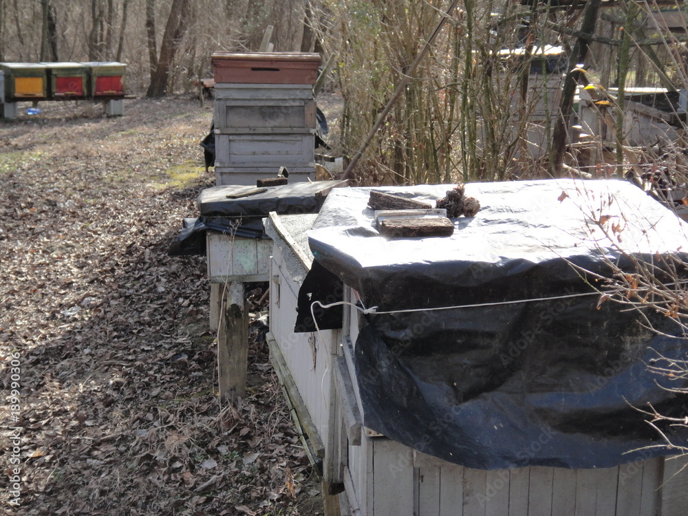 Hungarian countryside Stock-Foto | Adobe Stock