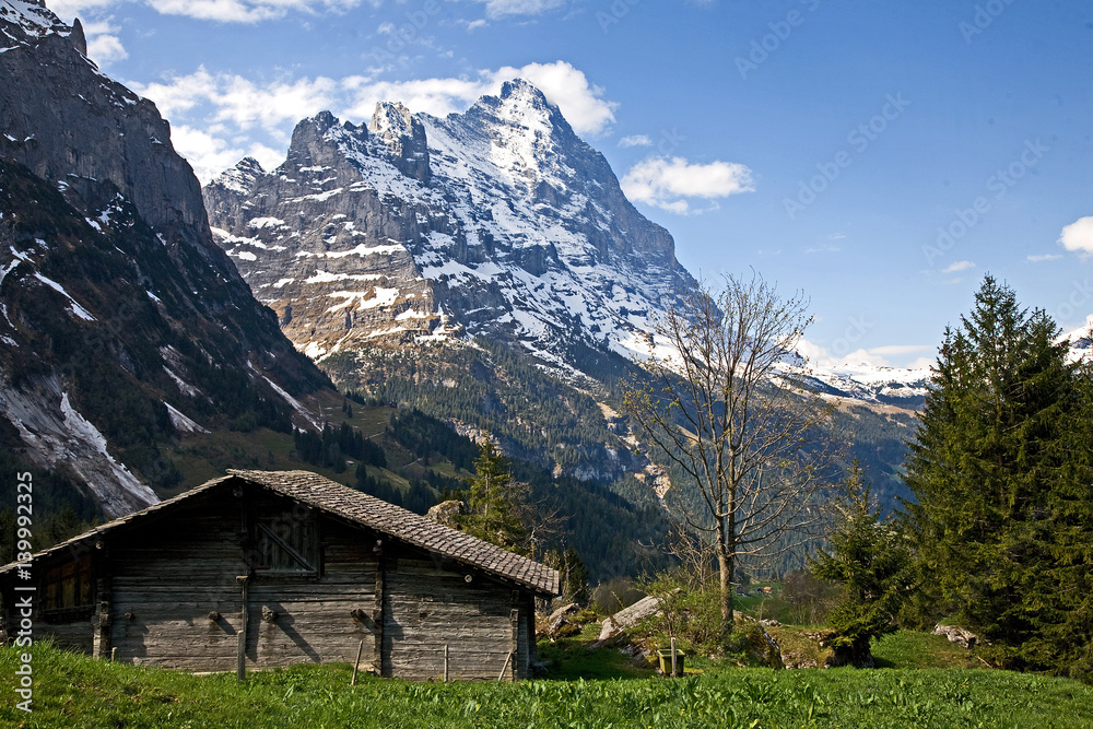 Eiger mountain, rigid and stalwart above Grindelwald valley