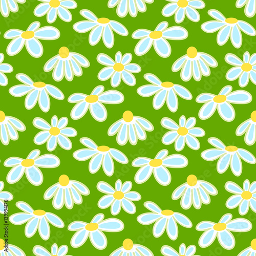 Vector floral pattern with cute daisies. Seamless floral pattern with spring flowers and leaves.