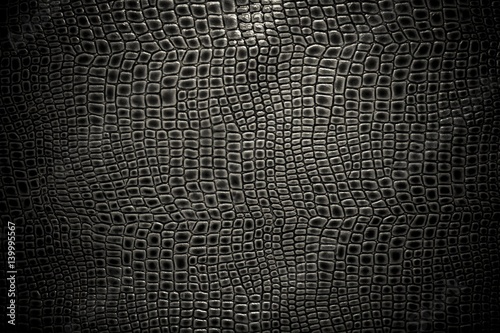 Crocodile leather texture background. Macro shot. Stock image.