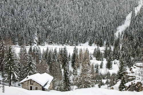 baita di montagnanel bosco in inverno