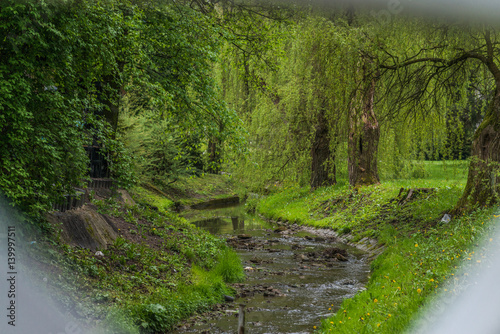landscape with river
