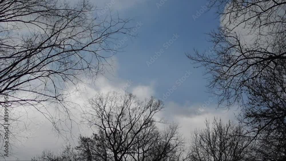 Zeitrafferaufnahme von weißen Wolken, die über einen strahlend blauen Himmel ziehen, umrahmt von winterlich kahlen Bäumen Zeitrafferaufnahme von weißen Wolken, die über einen strahlend blauen Himmel ziehen, umrahmt von winterlich kahlen Bäumen