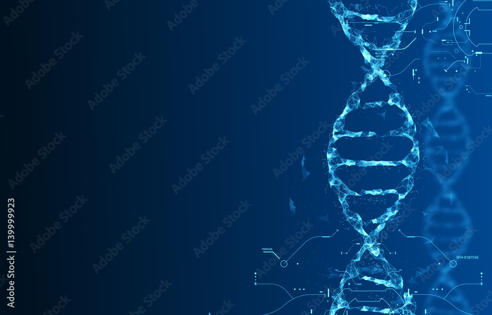 Fotografie Molecules of DNA