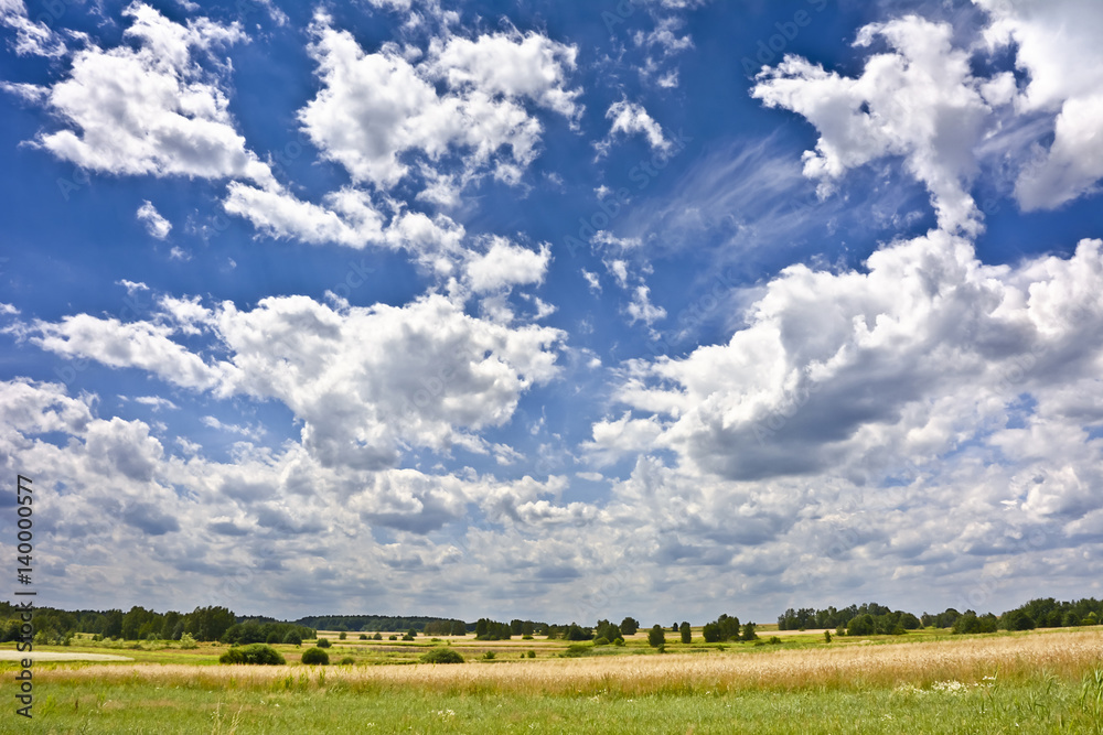 Landscape with clouds trees meadow.
Pleasant sunny summer day. Landscape with clouds trees meadow.
Pleasant sunny summer day.