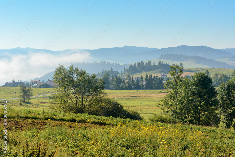 Misty morning rural landscape of a fields in summer. Pieniny mountains. Poland.