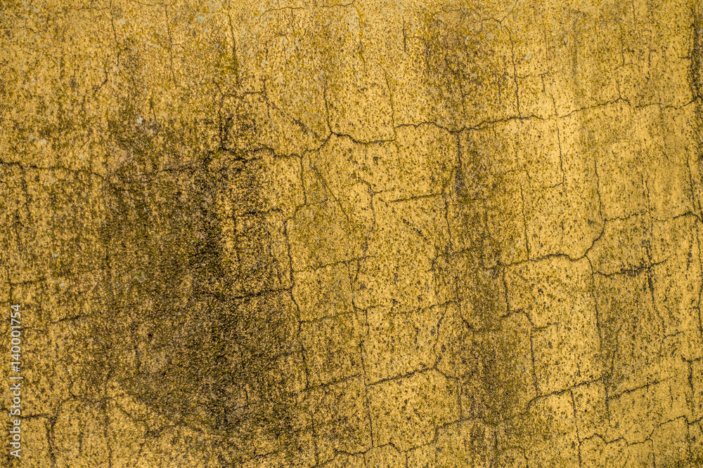 Schäden an Hauswand Schäden an Hauswand