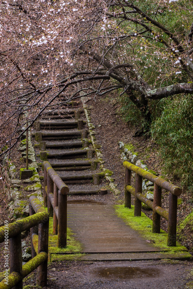 Japanese Park - trail and wooden steps