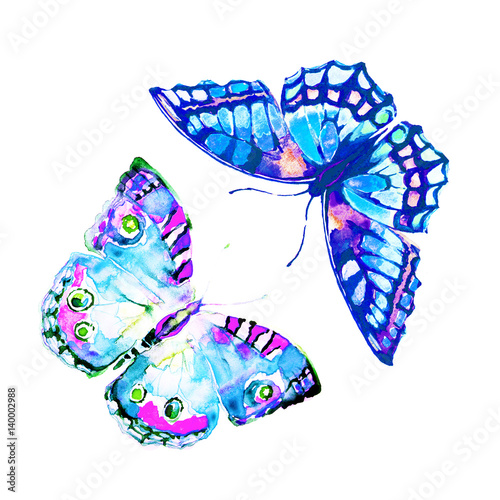beautiful butterfly, isolated  on a white © aboard